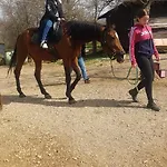 Bozic-omisalj *