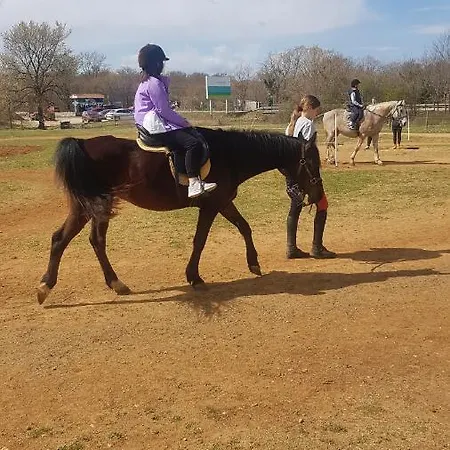 Bozic-omisalj Apartman Omisalj