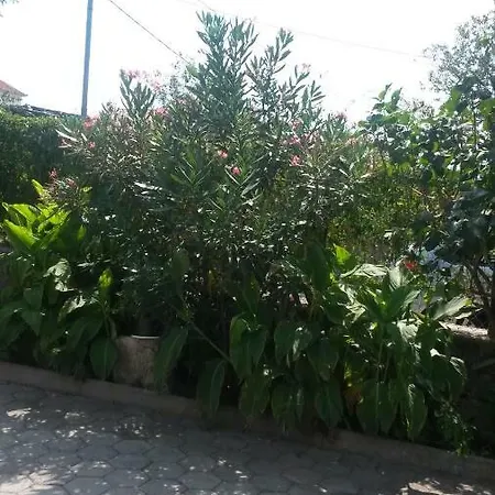 Bozic-omisalj Apartman Omisalj