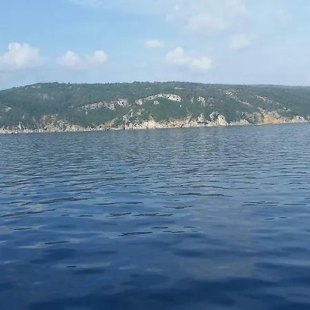 Bozic-omisalj Apartman *