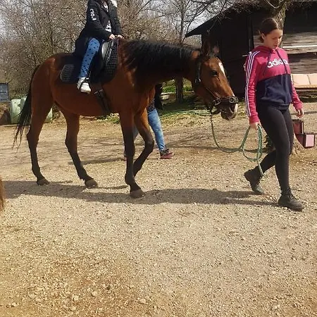 Bozic-omisalj *